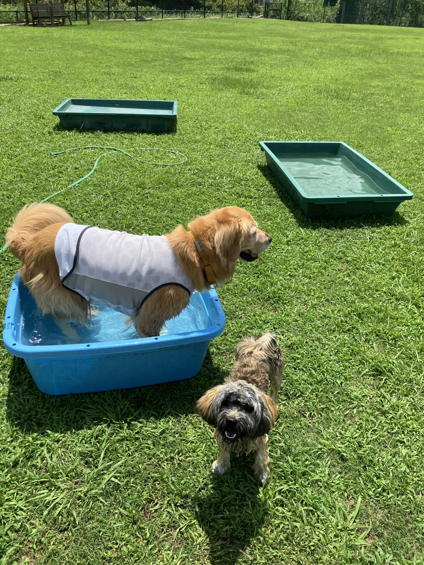 ファイル 8810-4.jpeg