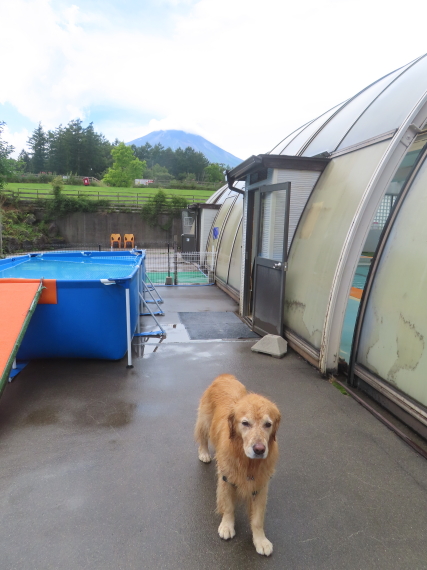 ファイル 8811-4.jpg