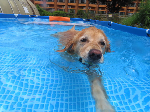 ファイル 8812-2.jpg