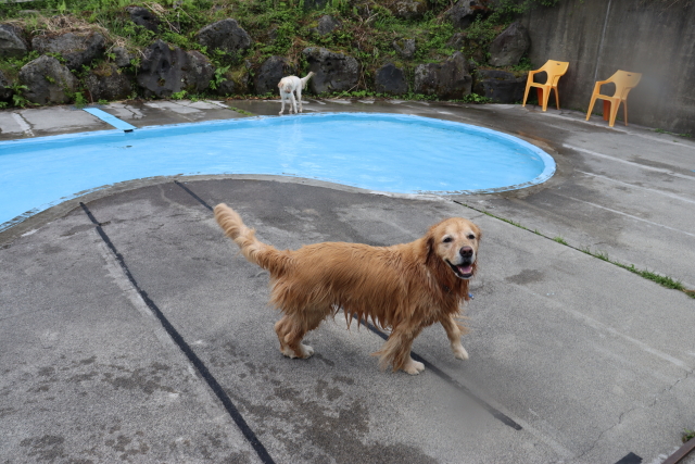 ファイル 8812-3.jpg