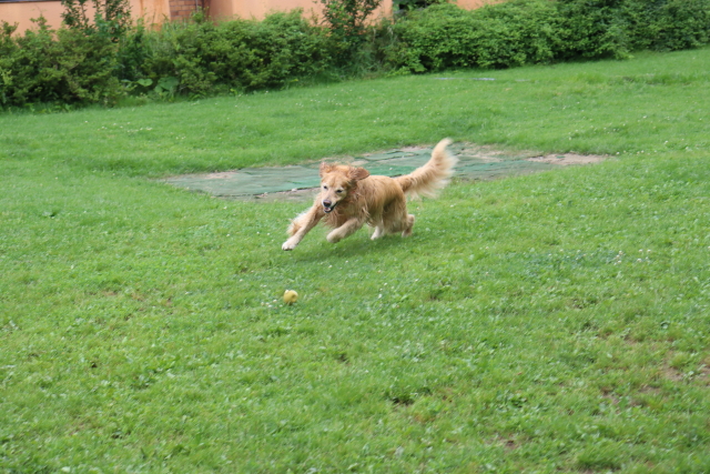 ファイル 8812-4.jpg