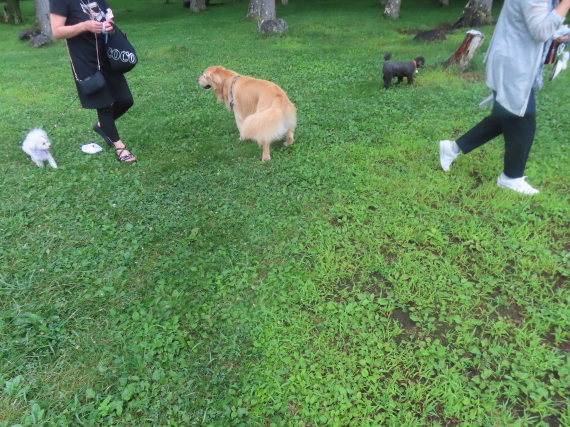 ファイル 8813-1.jpg