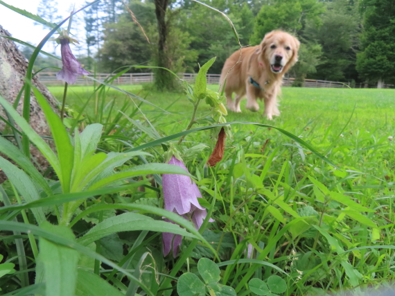 ファイル 8813-3.jpg