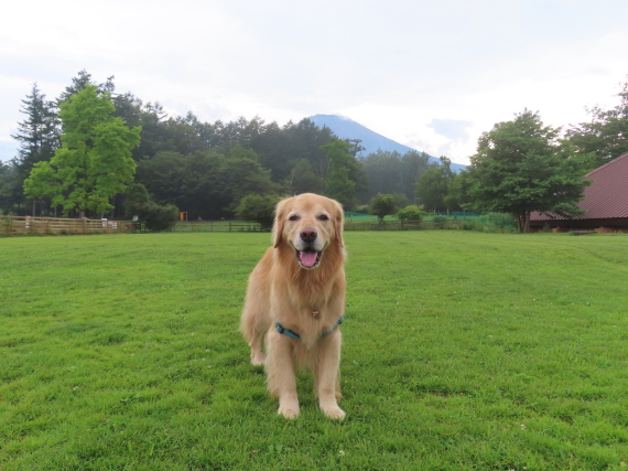 ファイル 8813-5.jpg