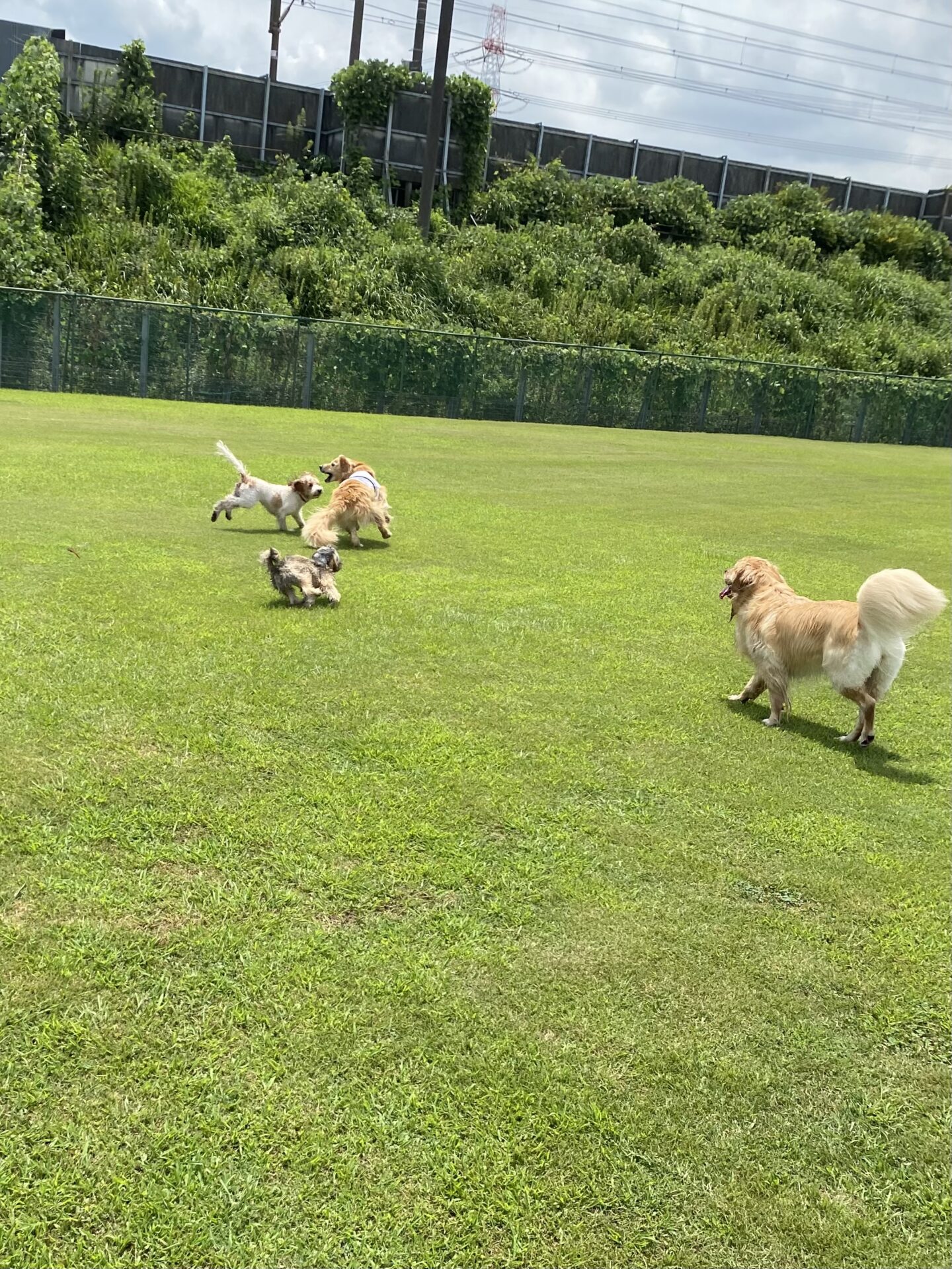 ファイル 8816-1.jpeg