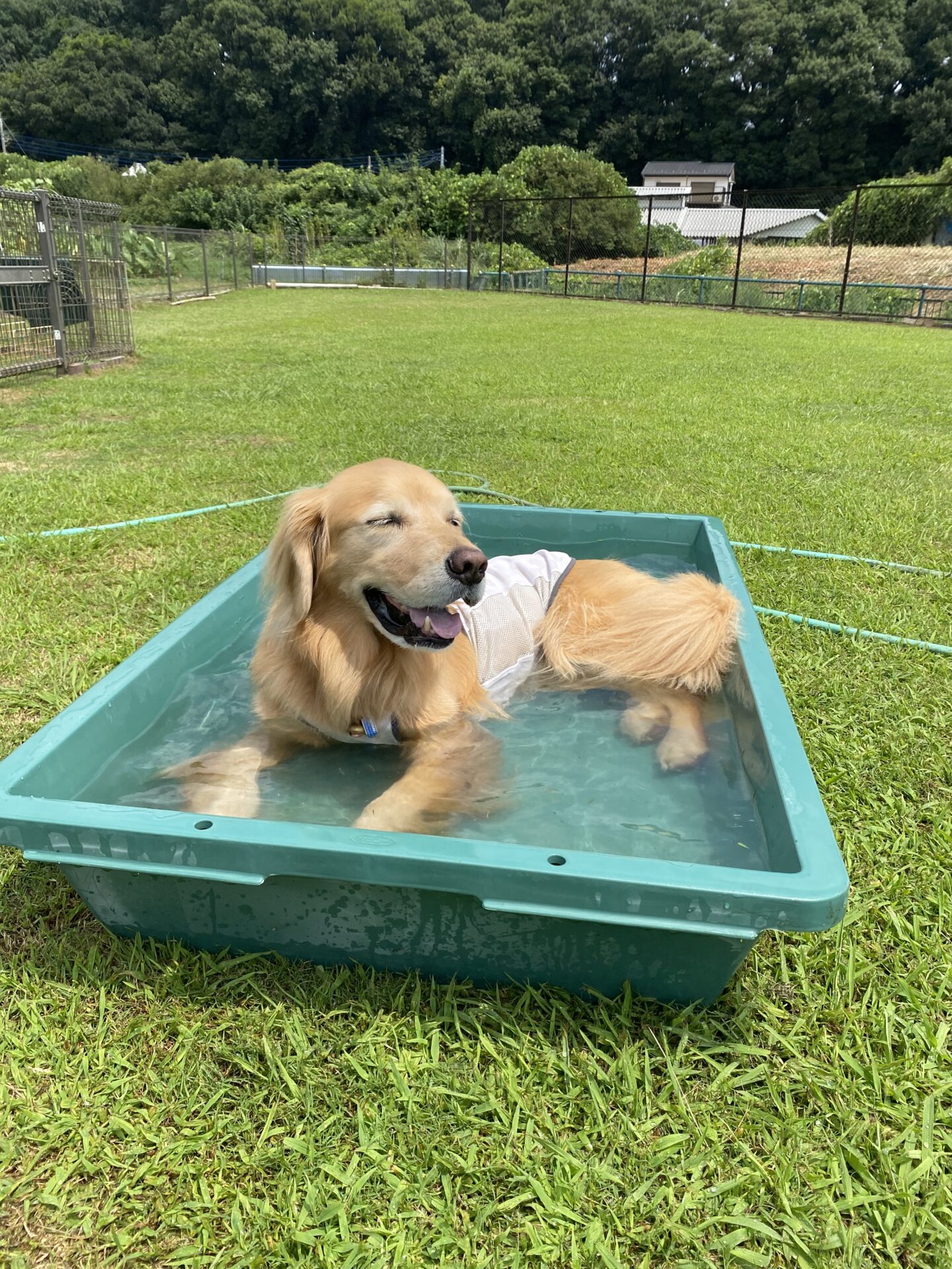 ファイル 8816-3.jpeg