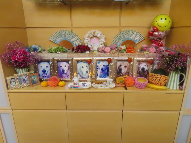 ファイル 8818-1.jpg