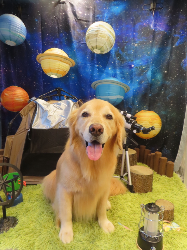 ファイル 8819-2.jpg