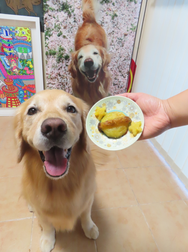 ファイル 8819-3.jpg