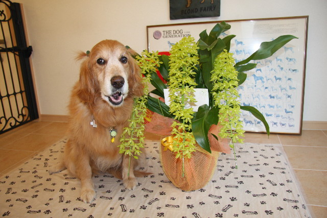 ファイル 882-1.jpg