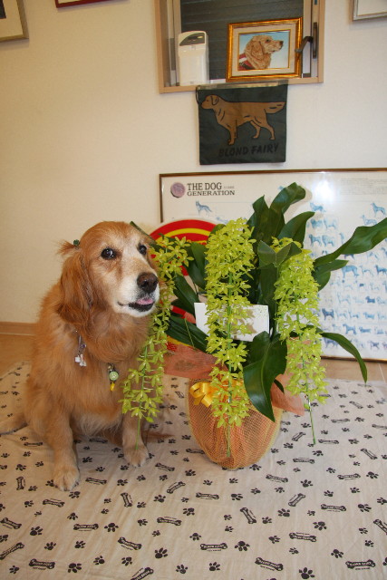 ファイル 882-2.jpg