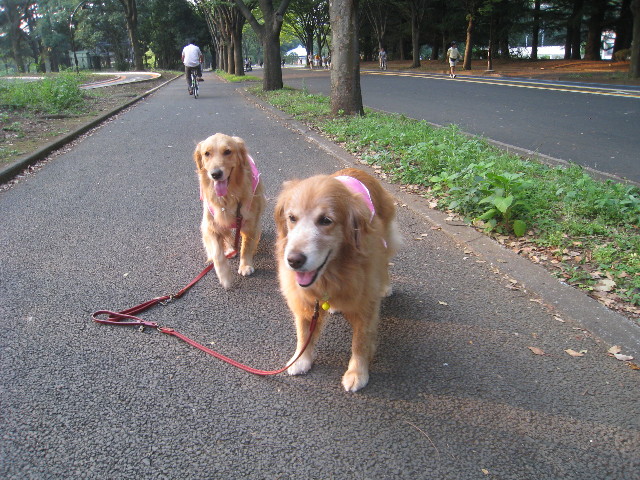 ファイル 882-4.jpg