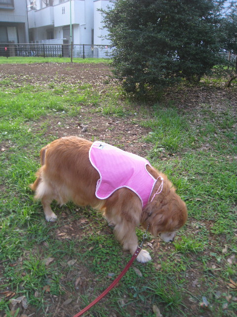 ファイル 882-5.jpg