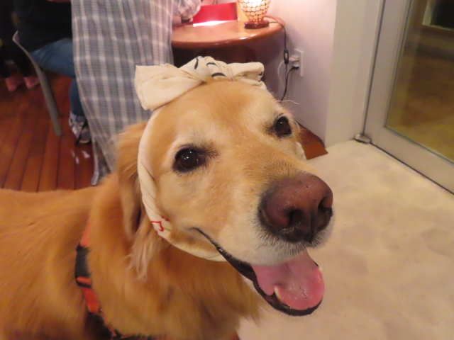 ファイル 8821-1.jpg