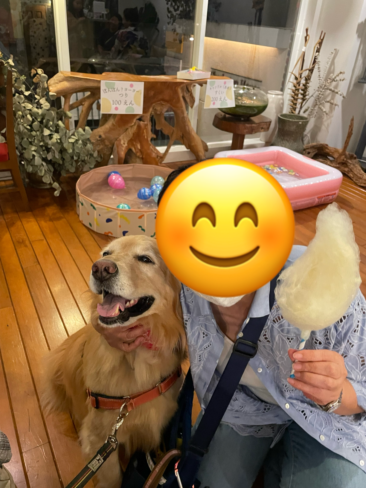 ファイル 8821-4.png