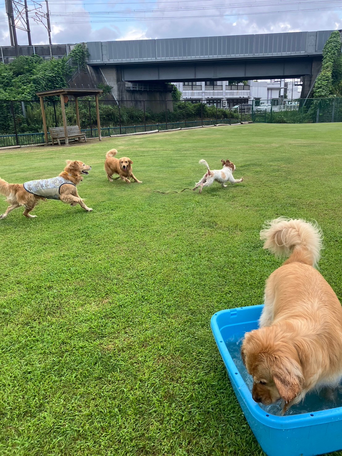 ファイル 8822-2.jpeg