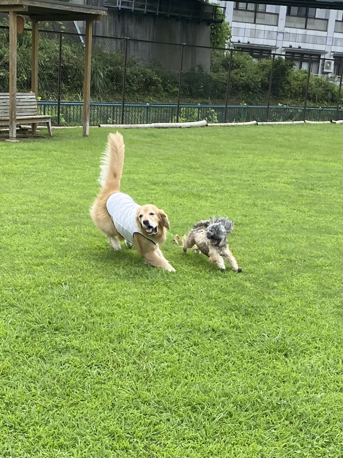 ファイル 8824-1.jpeg