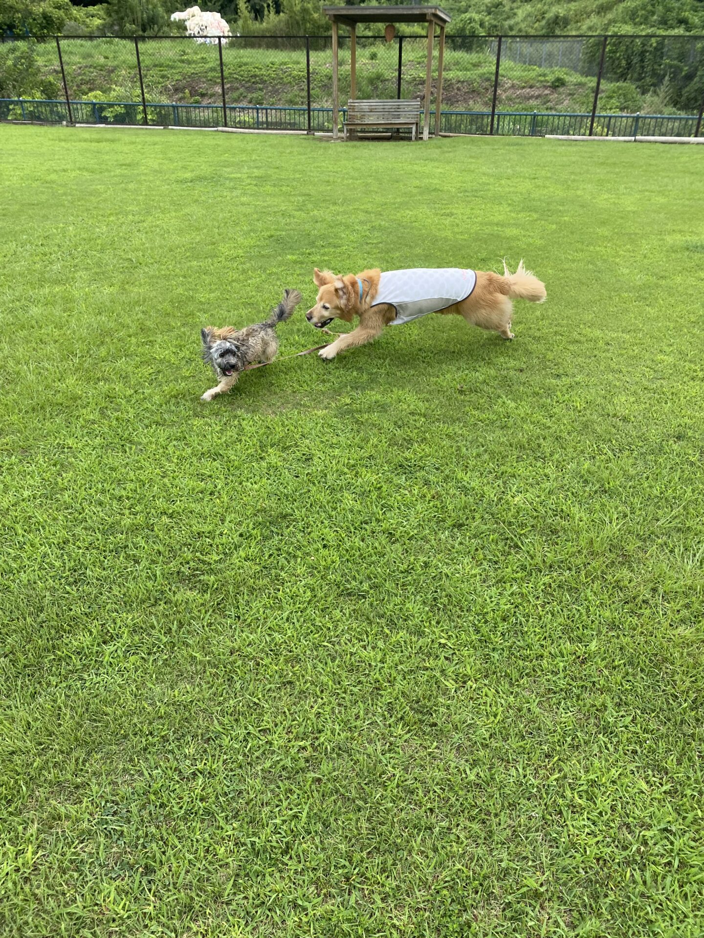 ファイル 8824-4.jpeg