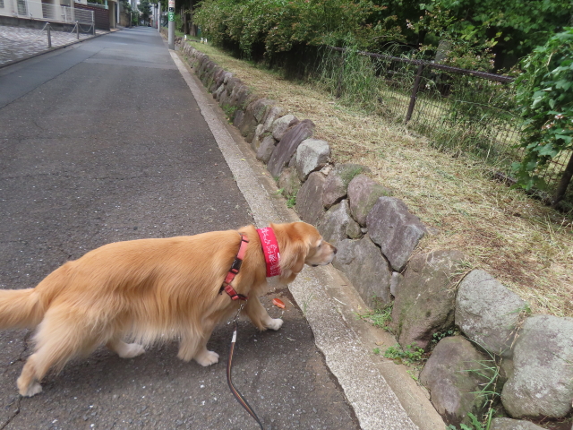 ファイル 8825-2.jpg