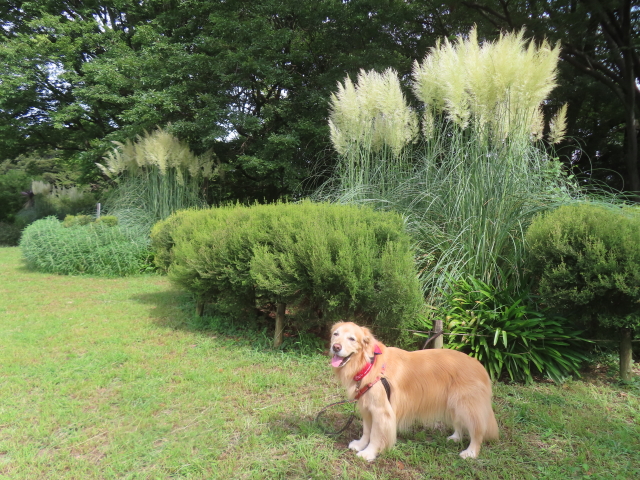 ファイル 8825-4.jpg