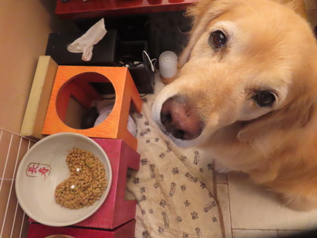 ファイル 8825-5.jpg