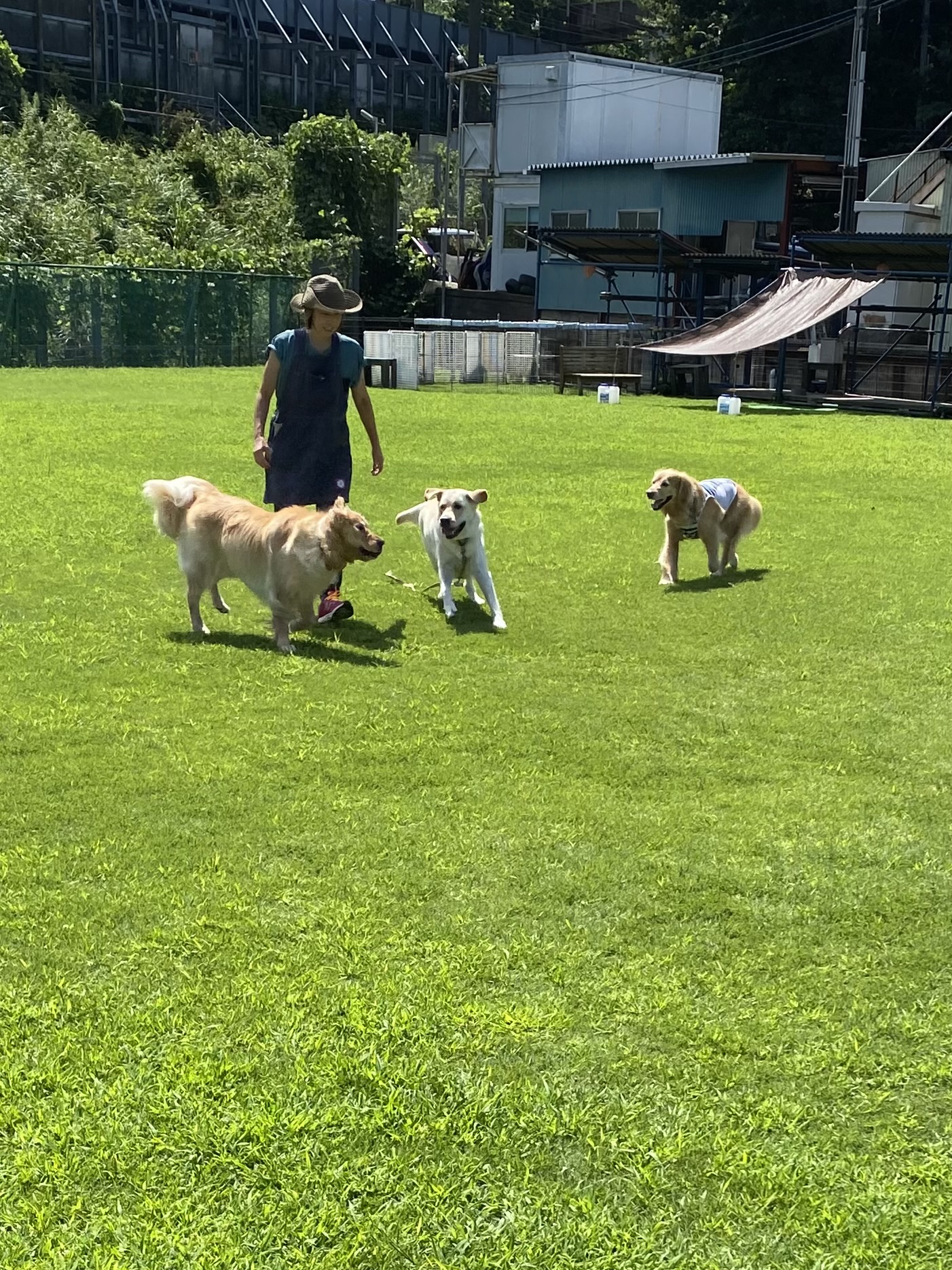 ファイル 8826-3.jpeg