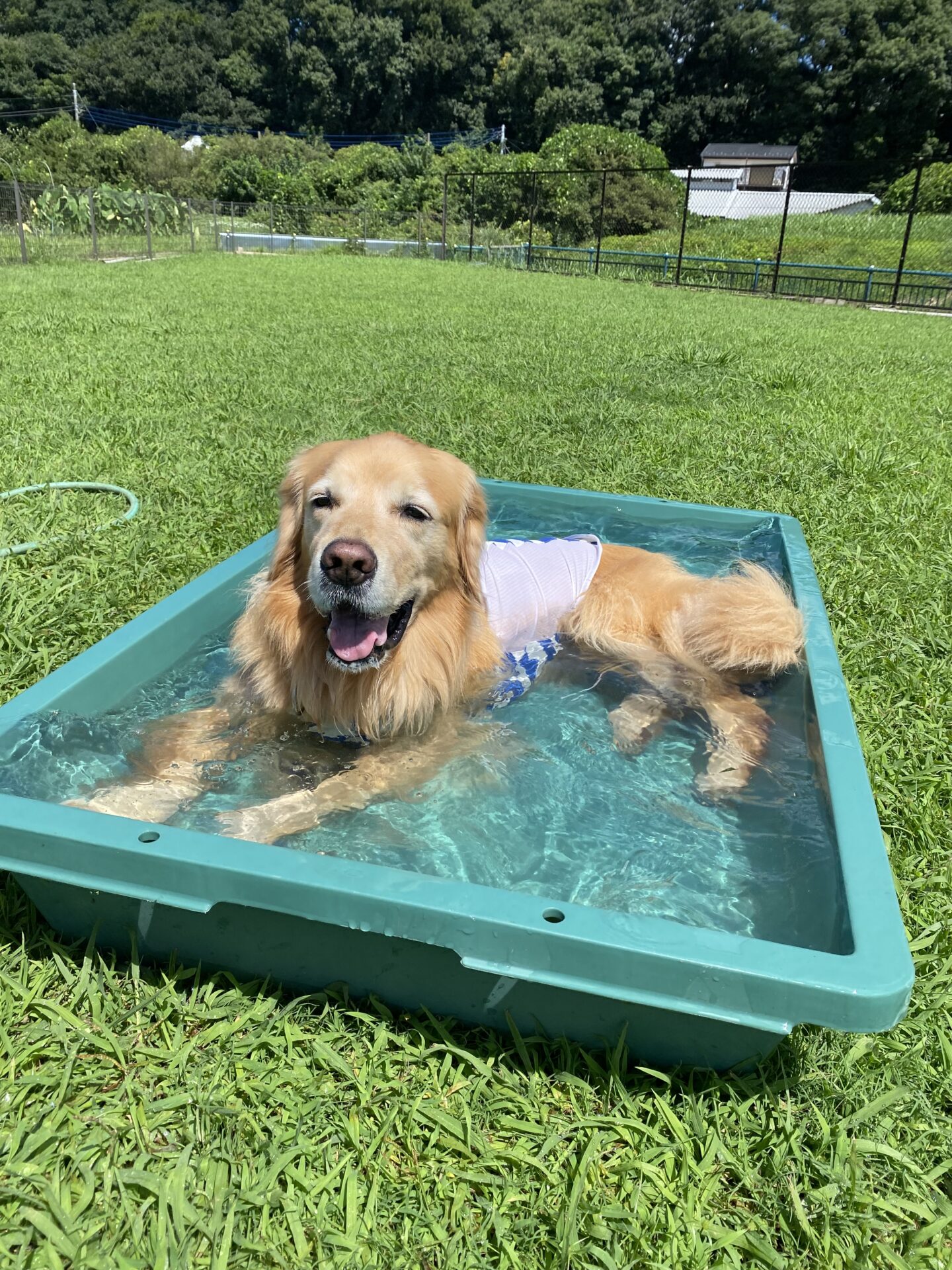 ファイル 8826-4.jpeg