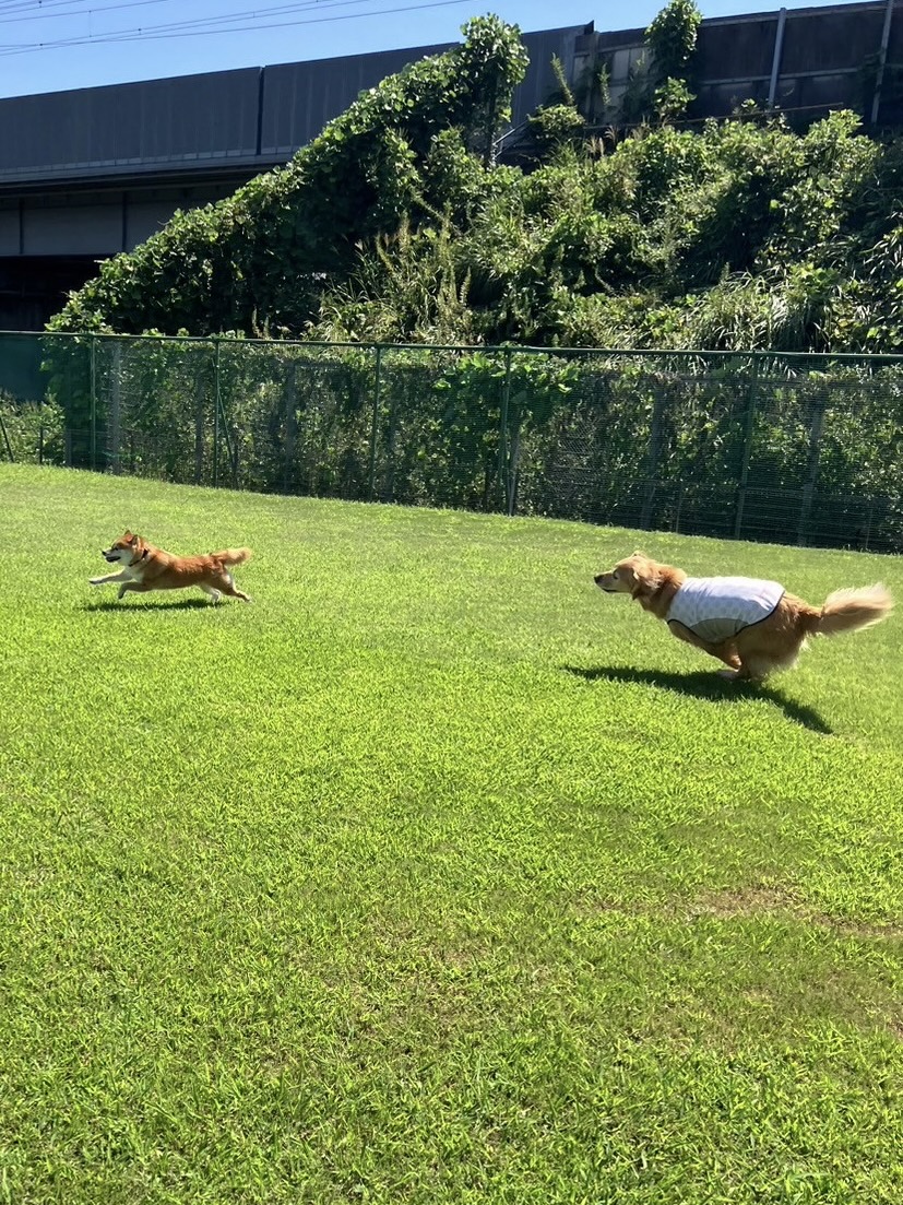 ファイル 8830-2.jpeg