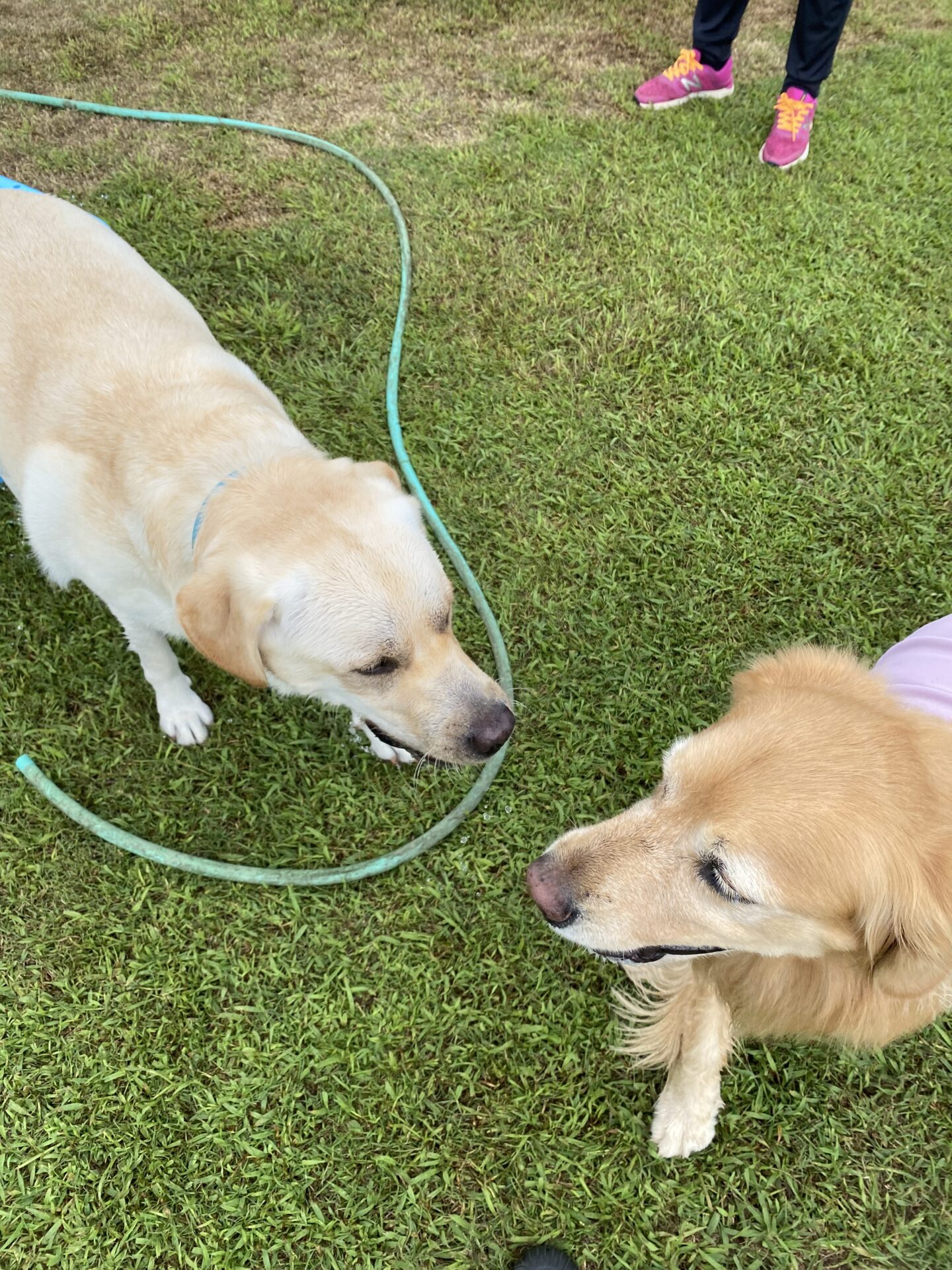 ファイル 8833-3.jpeg