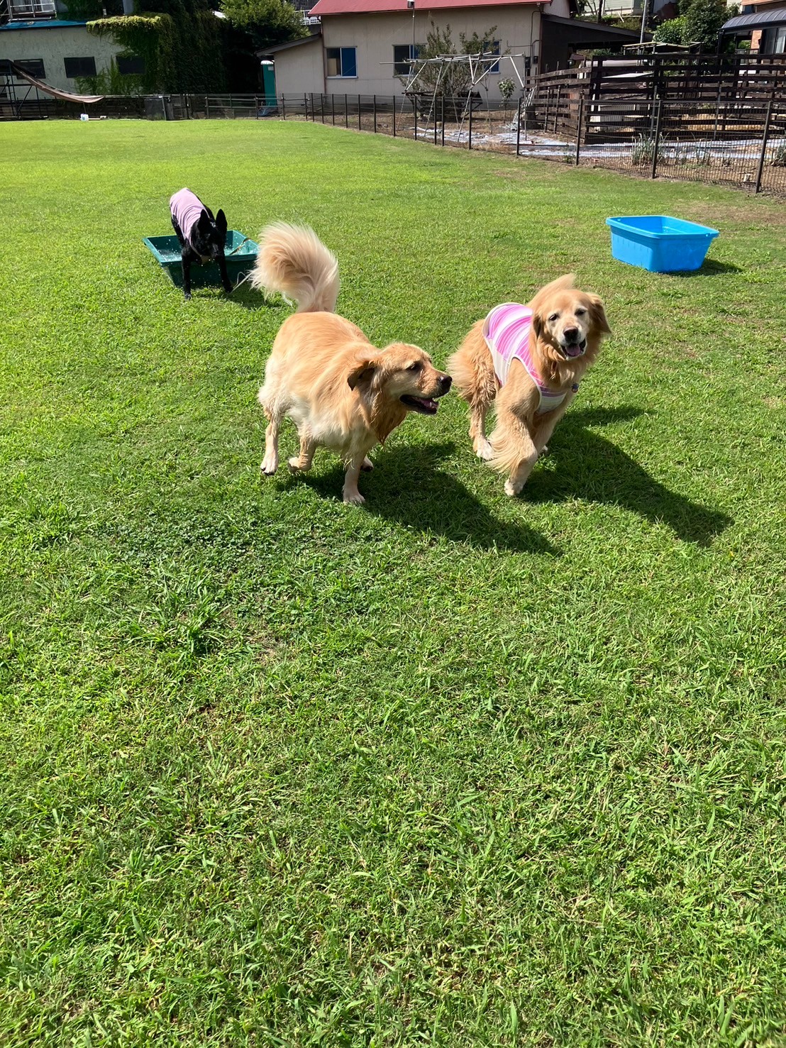 ファイル 8835-3.jpeg