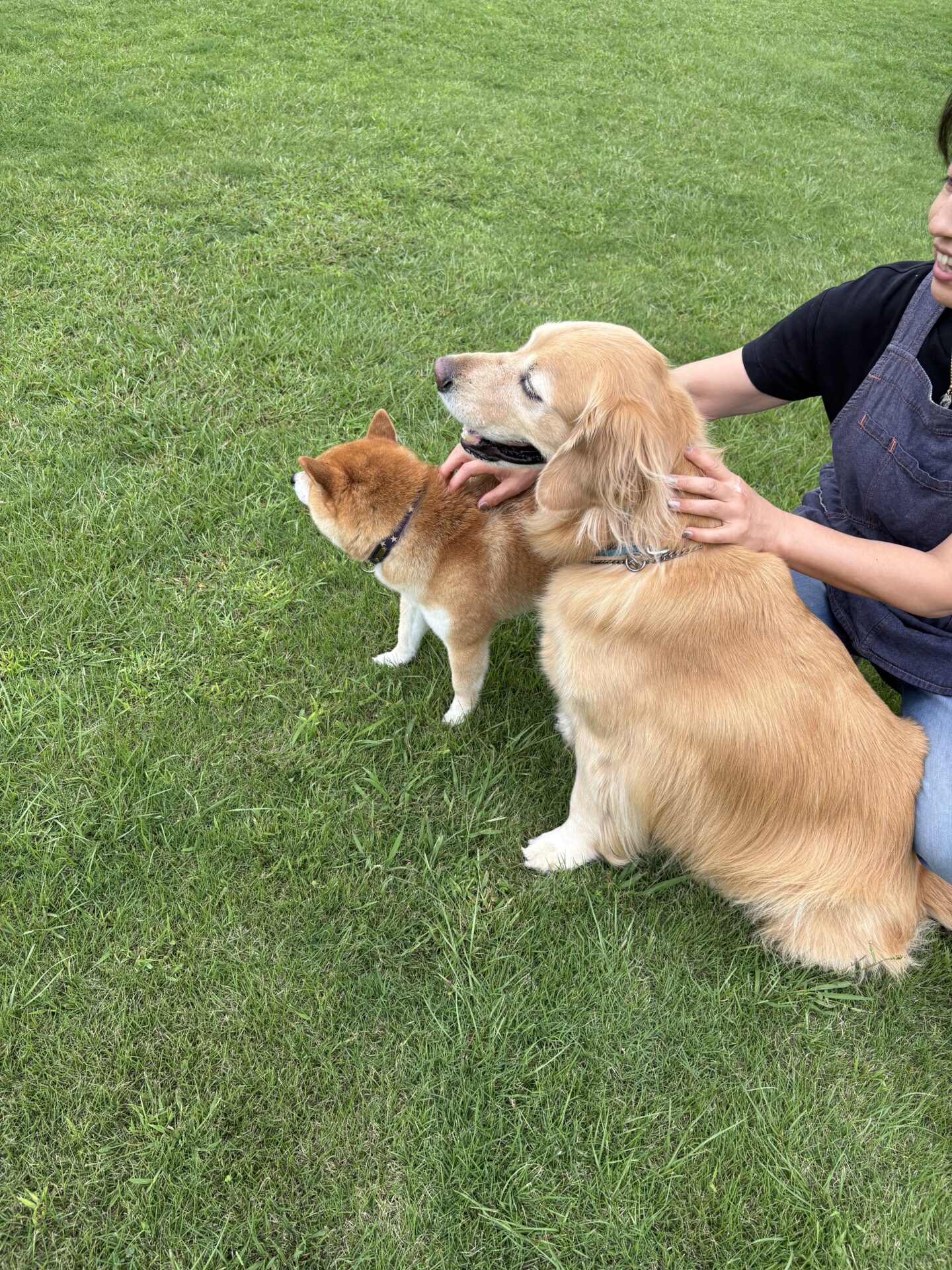 ファイル 8838-3.jpeg