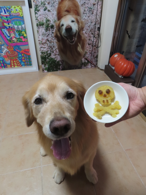 ファイル 8840-5.jpg