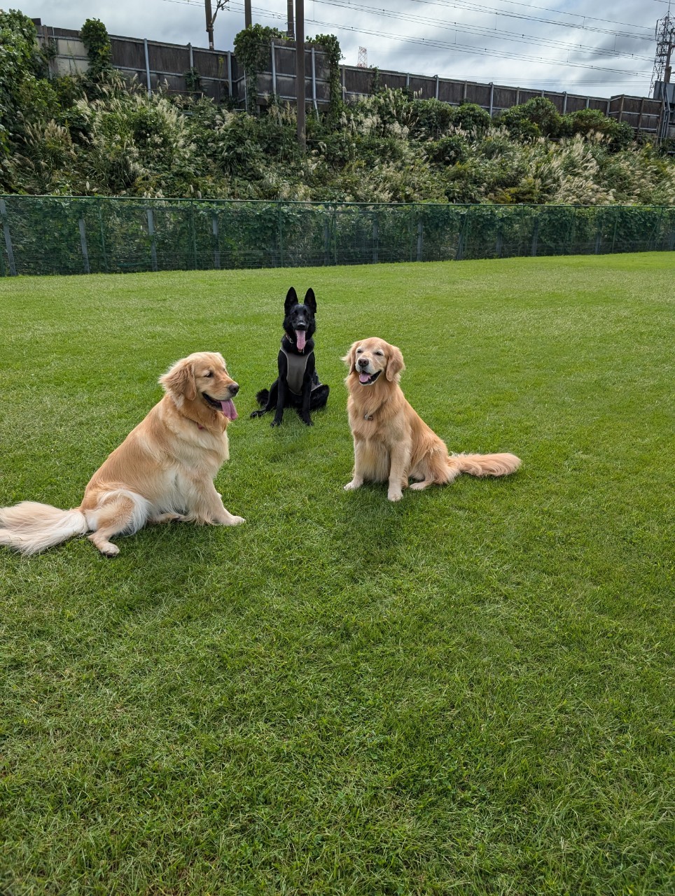 ファイル 8841-3.jpeg