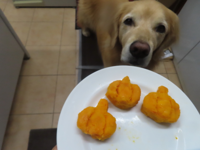 ファイル 8842-2.jpg