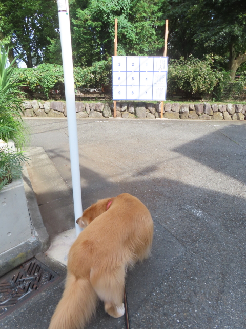 ファイル 8842-5.jpg