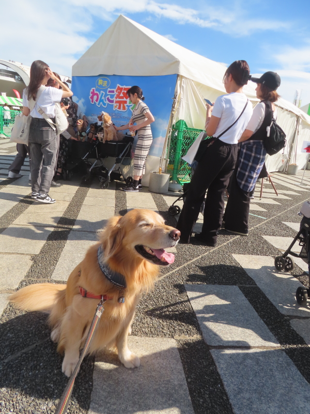 ファイル 8844-1.jpg