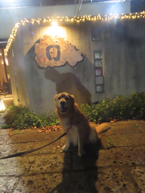 ファイル 8846-1.jpg