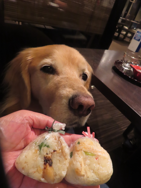 ファイル 8846-2.jpg