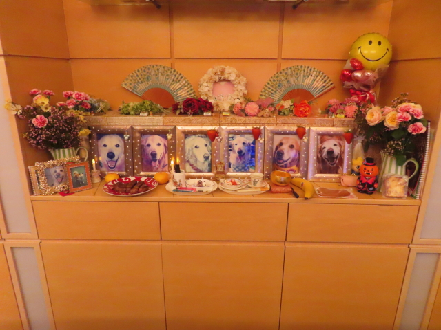 ファイル 8846-5.jpg