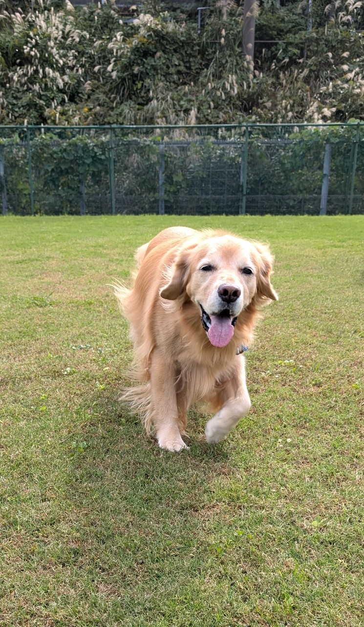 ファイル 8848-1.jpeg