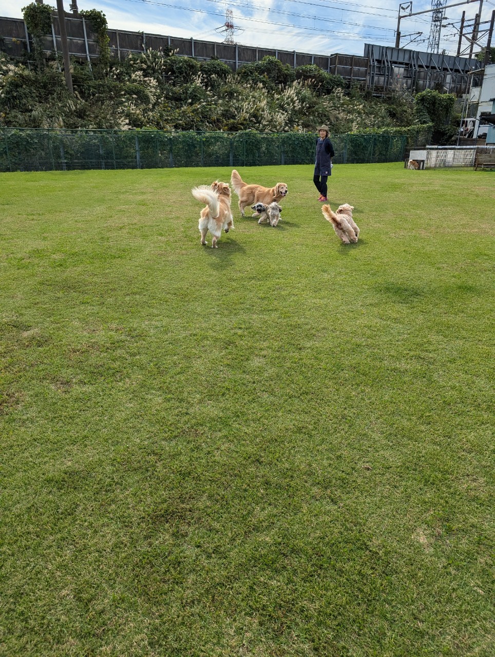 ファイル 8848-5.jpeg