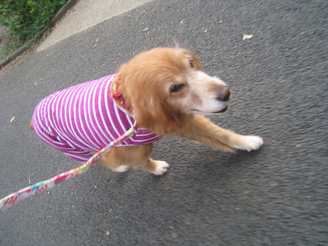 ファイル 885-2.jpg