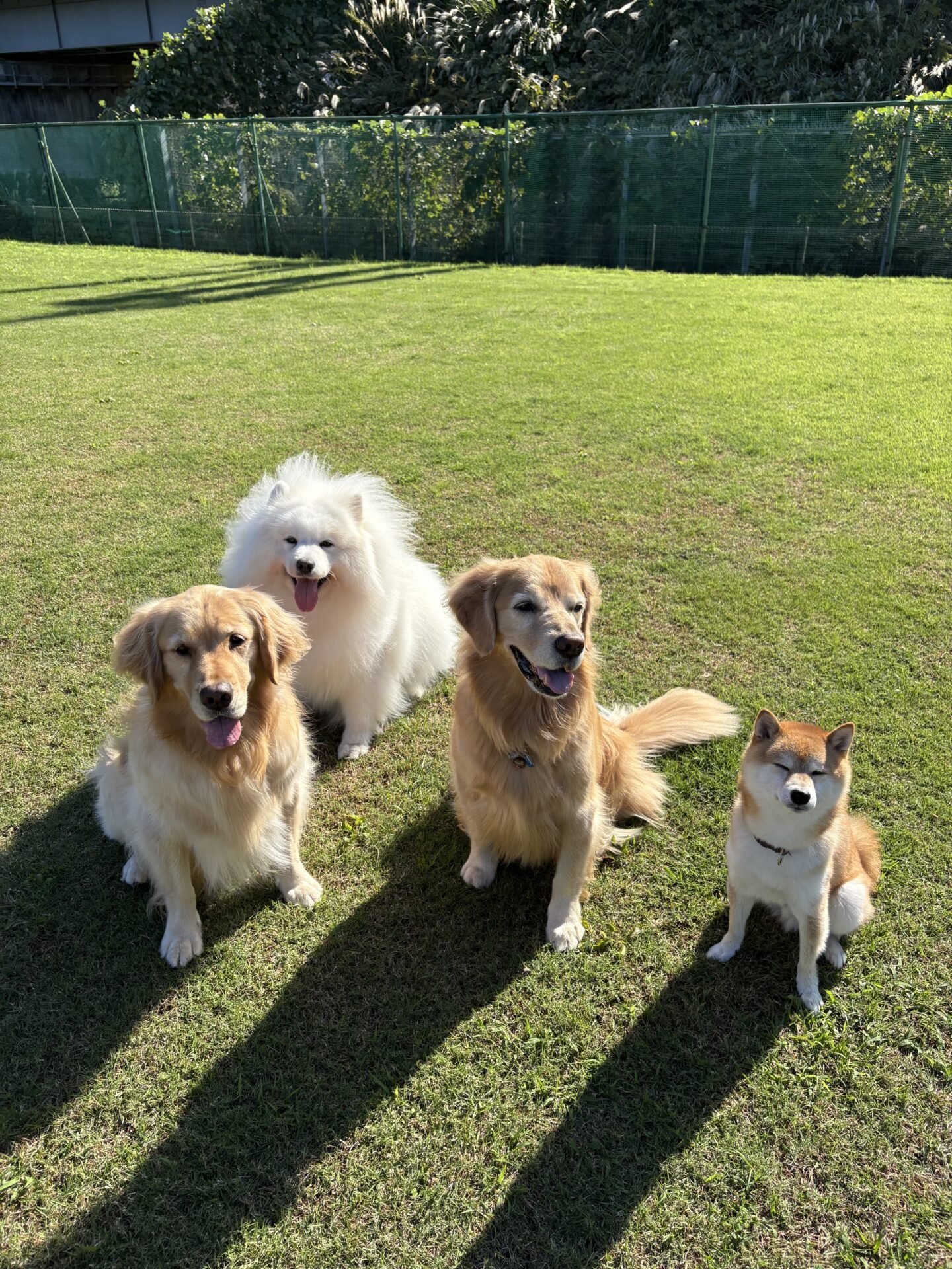 ファイル 8853-2.jpeg