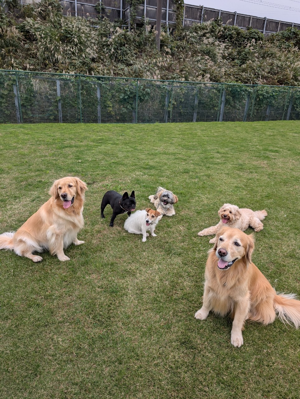 ファイル 8855-1.jpeg