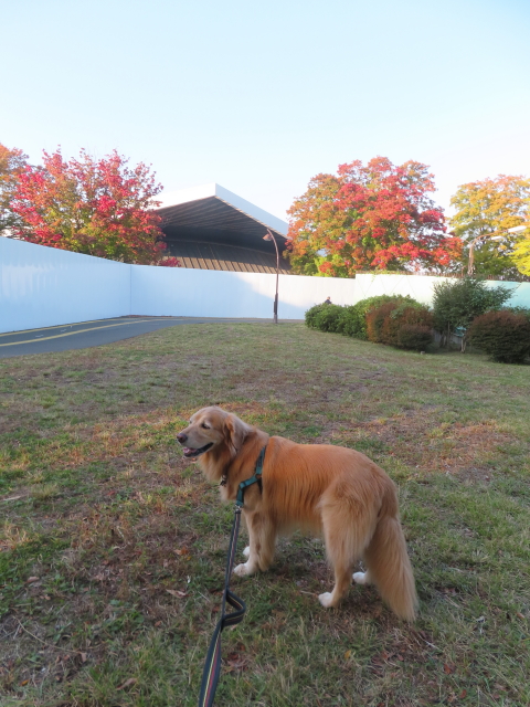 ファイル 8856-1.jpg