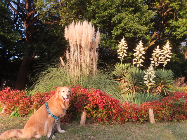 ファイル 8856-2.jpg