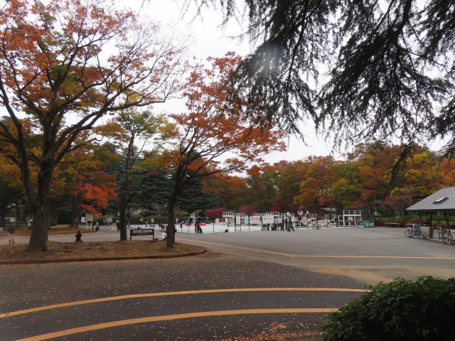 ファイル 8856-4.jpg