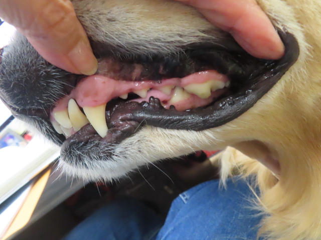 ファイル 8857-3.jpg