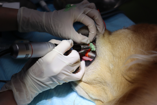 ファイル 8858-3.jpg