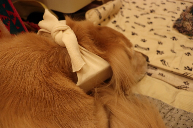 ファイル 8858-4.jpg